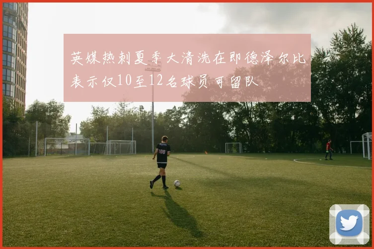 英媒热刺夏季大清洗在即德泽尔比表示仅10至12名球员可留队