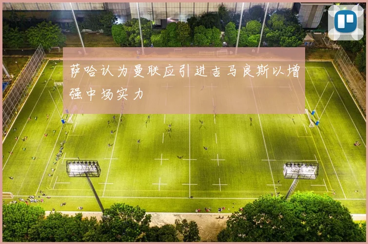 萨哈认为曼联应引进吉马良斯以增强中场实力